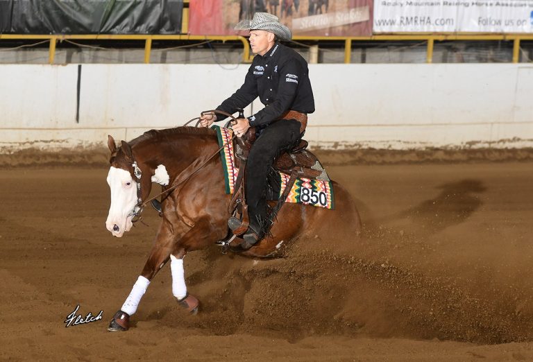 Show Horses - Tamarack Ranch