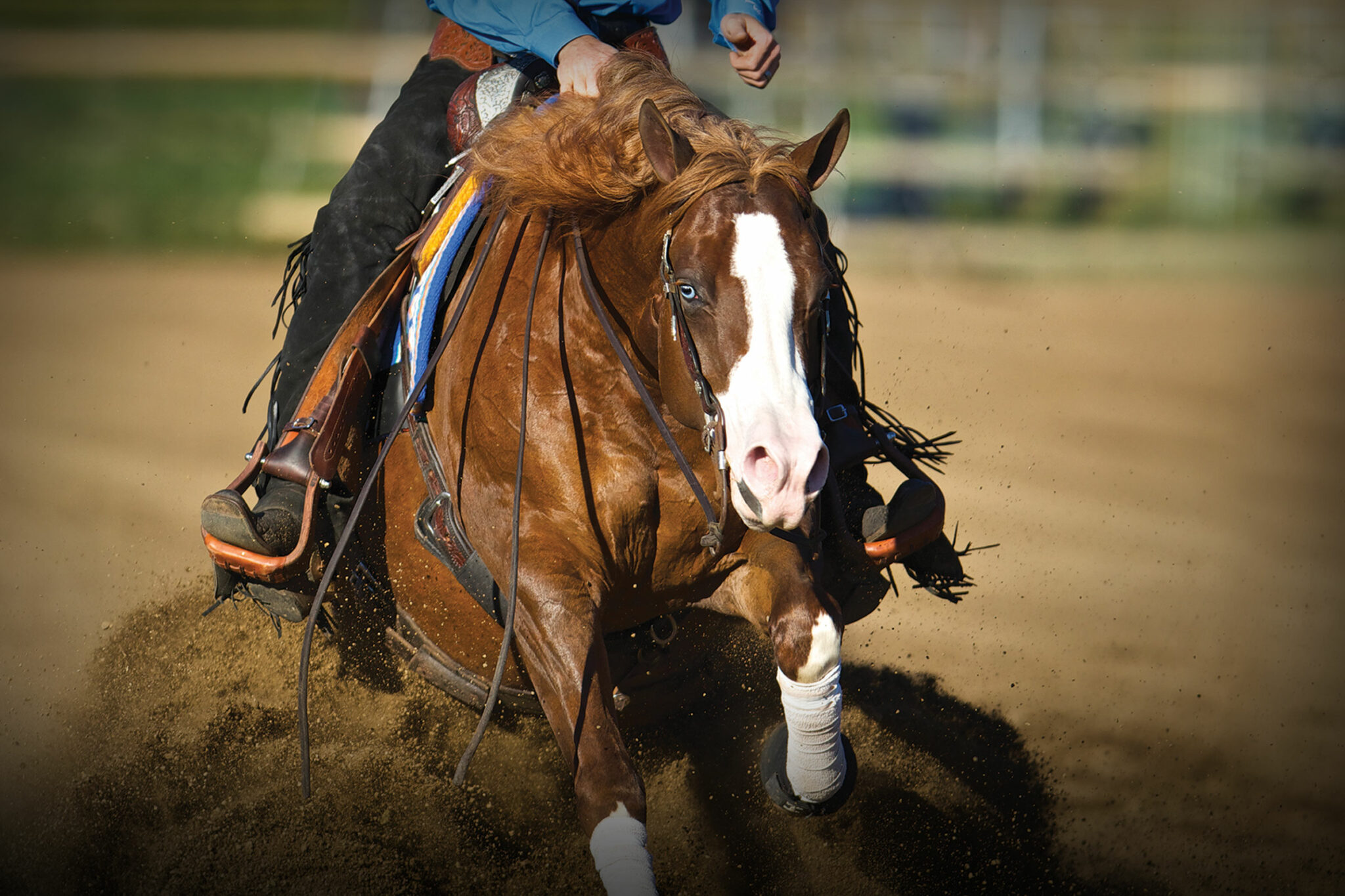 Tamarac Ranch Rig Committed to excellence in the reining horse industry. - Tamarack Ranch