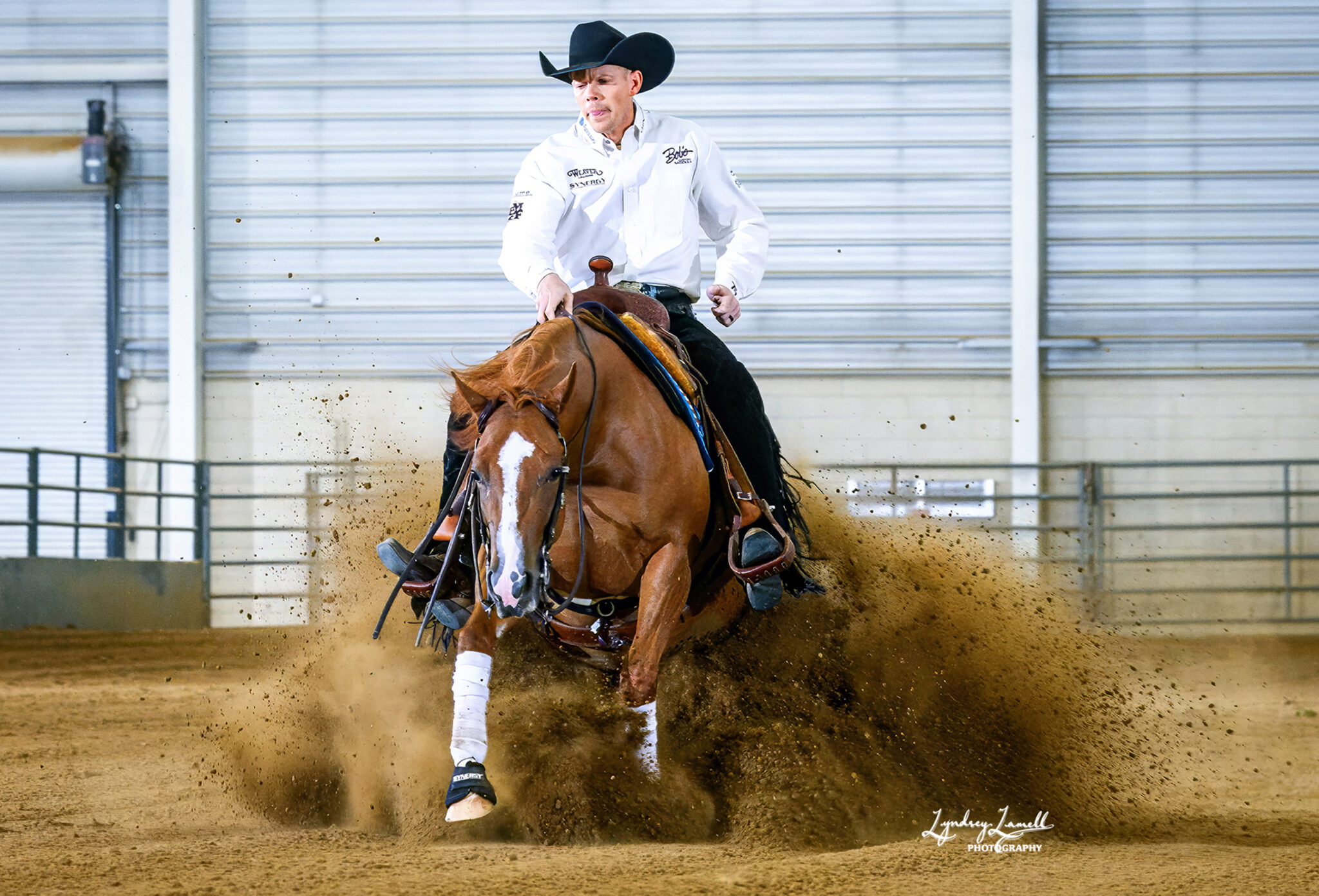 Show Horses - Tamarack Ranch
