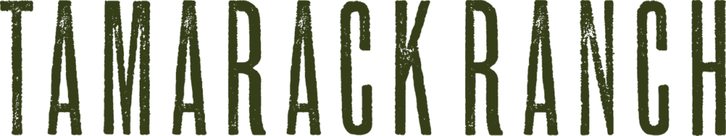 Committed to excellence in the reining horse industry. - Tamarack Ranch