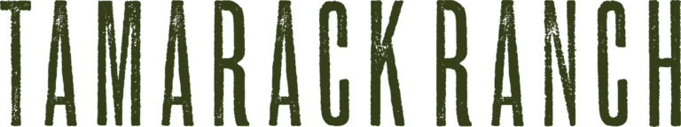 Committed to excellence in the reining horse industry. - Tamarack Ranch